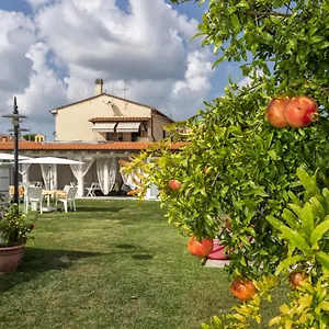 Colorado Bed and breakfast Pisa
